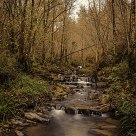 River in autumn
